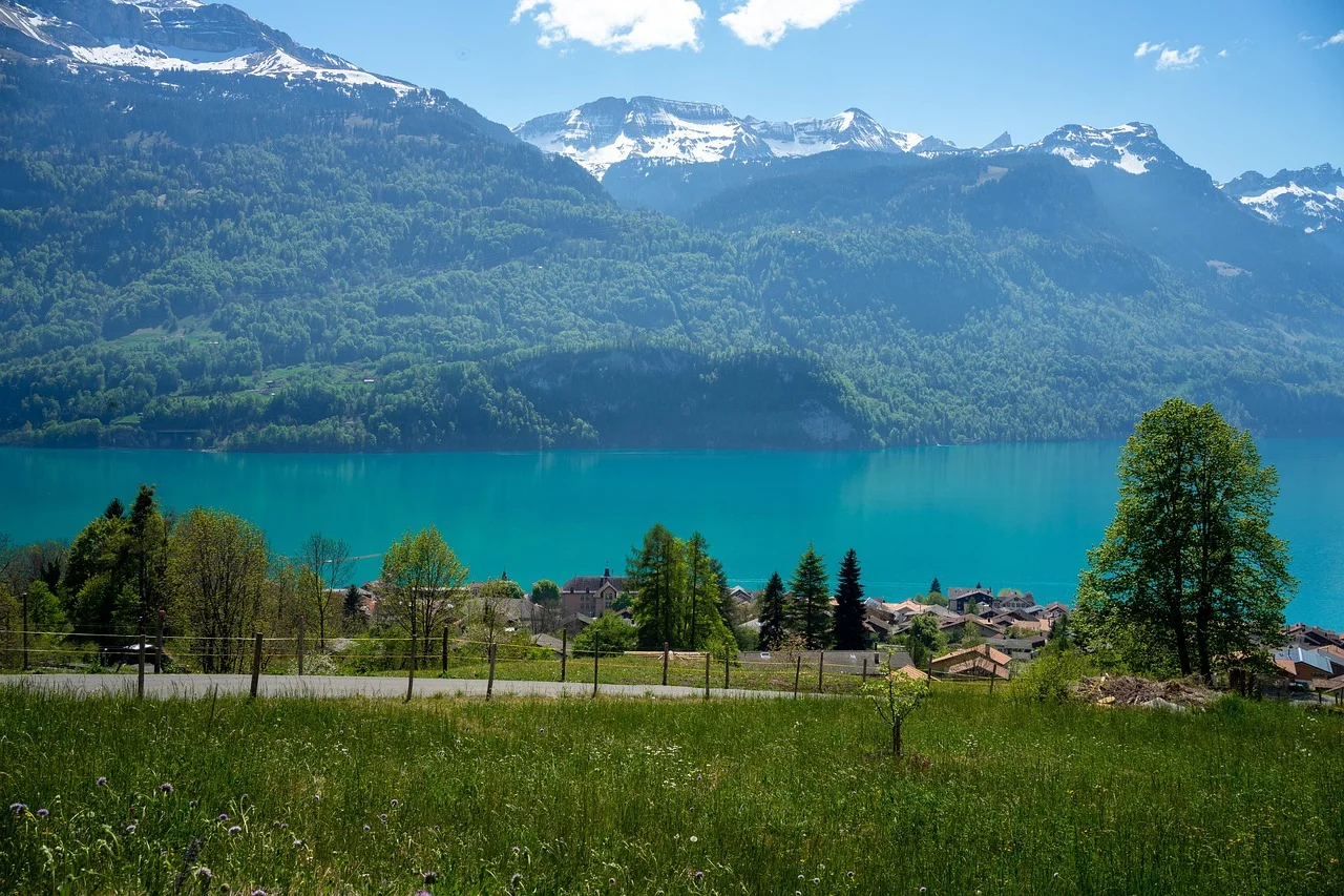Weiter See mit Uferbaum und ruhiger Wasseroberfläche in der Schweiz