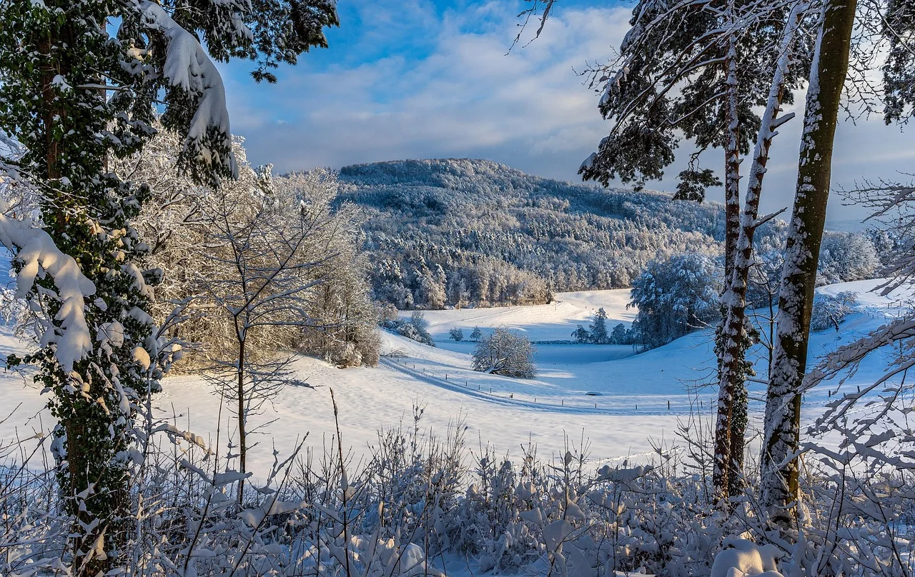 Winterlandschaft im Zürcher Unterland als Symbolbild für die Region Nördlich Lägern